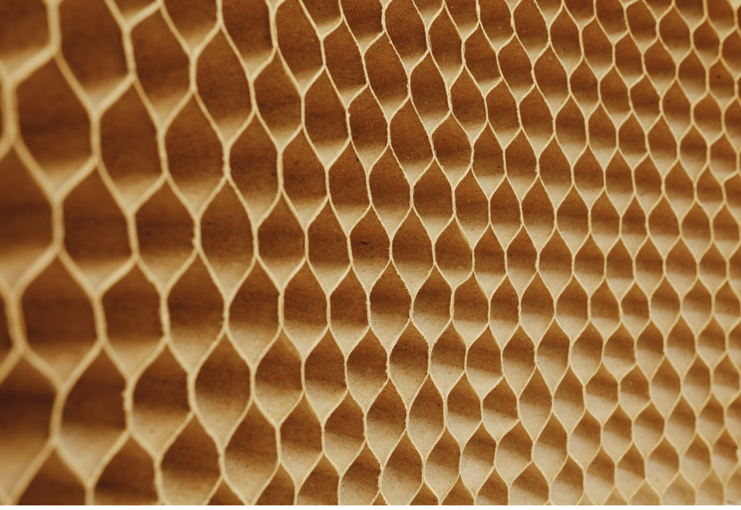 Choisissez le carton nid d’abeille, pratique et écolo